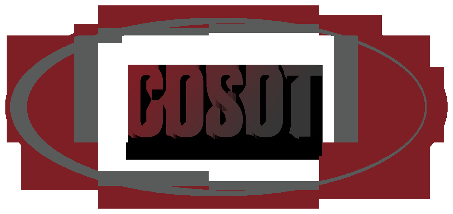 Logótipo COSOT